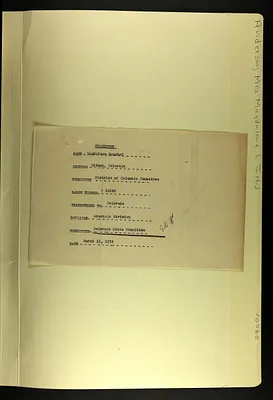 p. 20