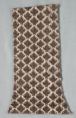 Velvet Fragment