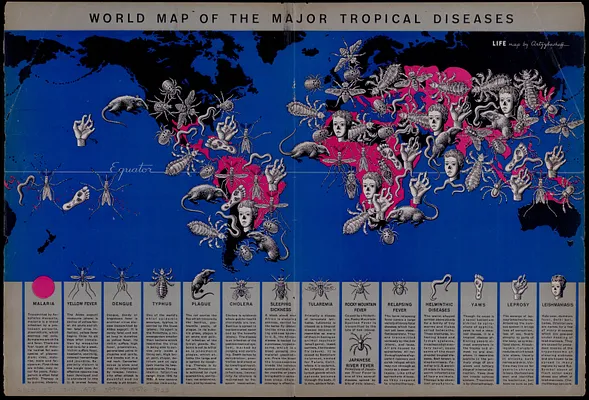 World map of the major tropical diseases