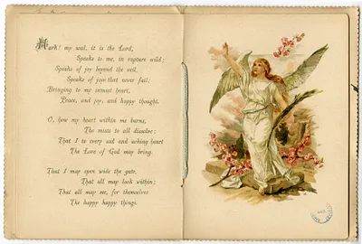 p. 5