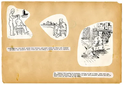 p. 16
