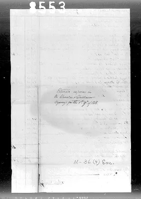 p. 31