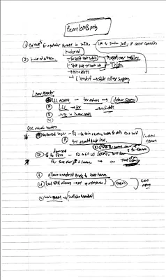 p. 27