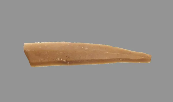 Sickle Blade