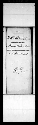 p. 19
