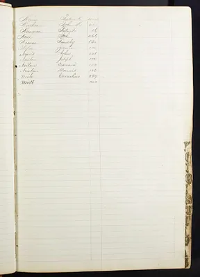 p. 19