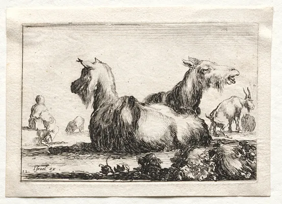 Caprices:  Two Goats