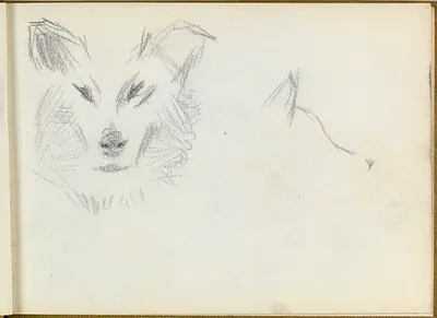 p. 5