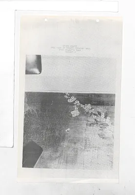 p. 27