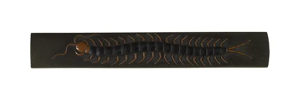 Kozuka with a Centipede