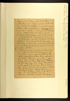 p. 41