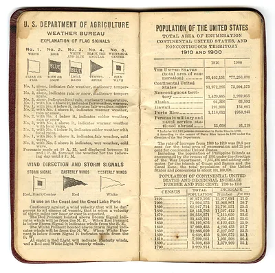 p. 8