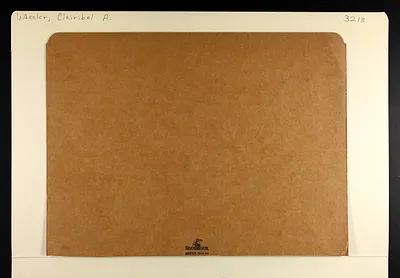 p. 3