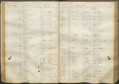 p. 24