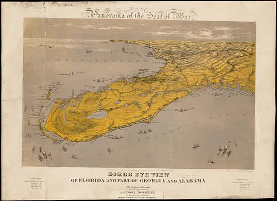 Birds eye view of Florida and part of Georgia and Alabama