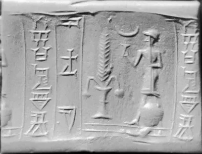 p. 7