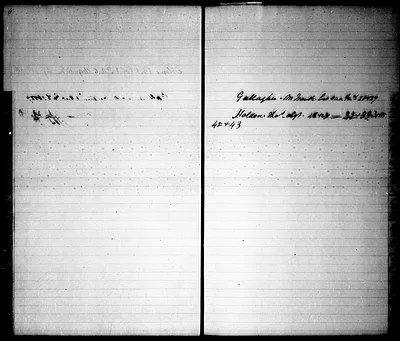 p. 8