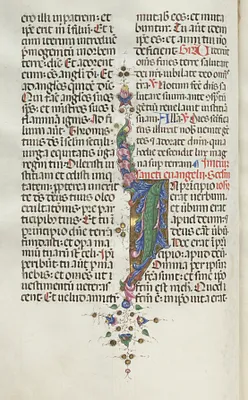 Missale: Fol. 22v: Foliage with Fish