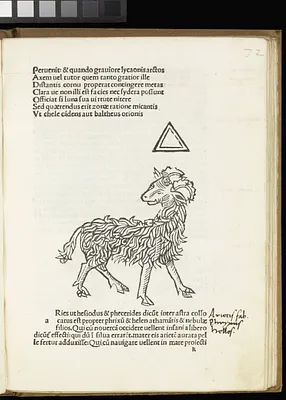 p. 33