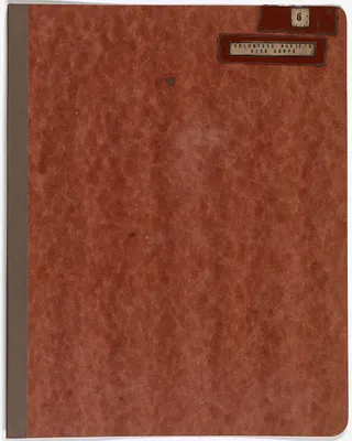 461.2 Insignia Collection - Volunteer Special Services Nurse's Aide Corps