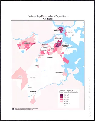 Boston's top foreign-born populations