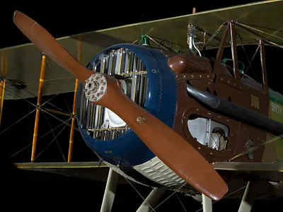p. 5