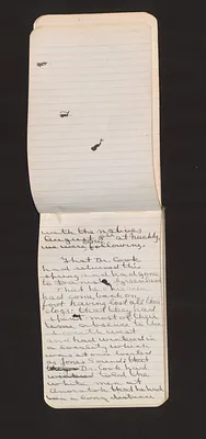 p. 16
