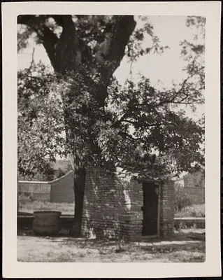 Small building next to a tree