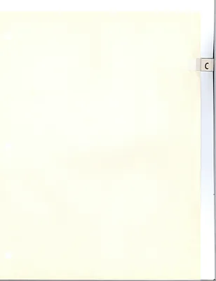 p. 21