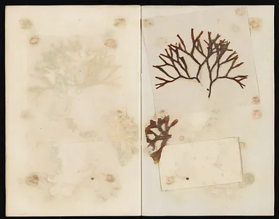 p. 37