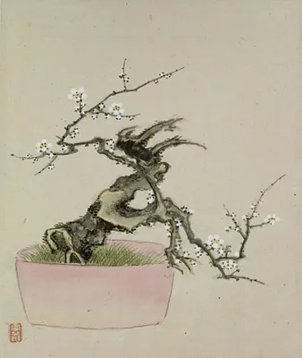 Leaf from Album Depicting Birds, Flowers, Landscapes, and Flower Pots