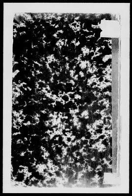p. 22