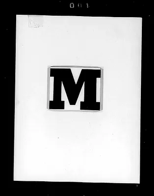p. 4