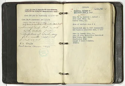 p. 5