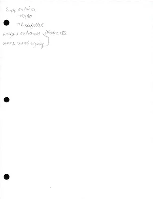 p. 3