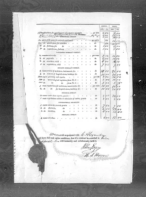 p. 21