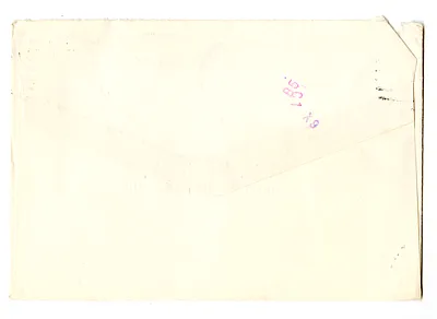 p. 5