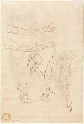 Sketches of Five Arms and a Head (verso)