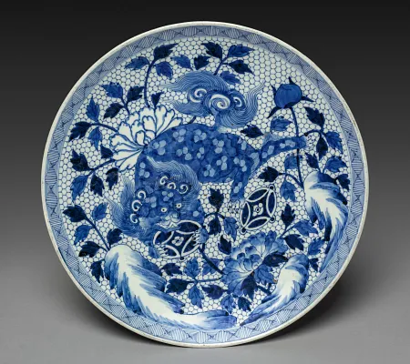Dish