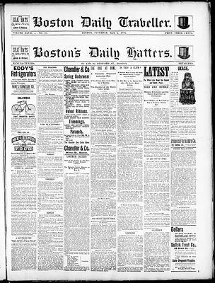 Boston Daily Traveller