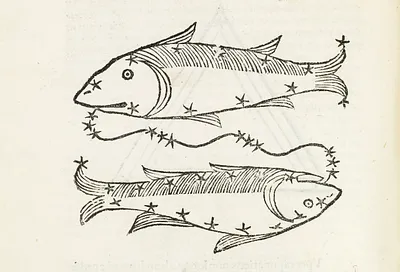 p. 37