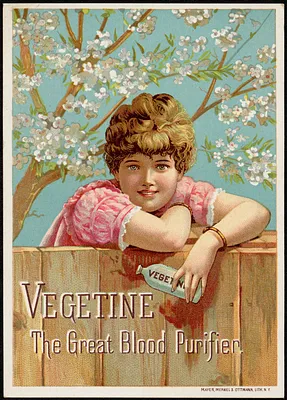 Vegetine, the great blood purifier