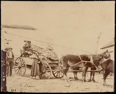 Refugees leaving the old homestead