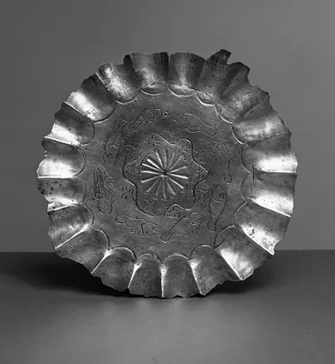 Marine creatures around a rosette