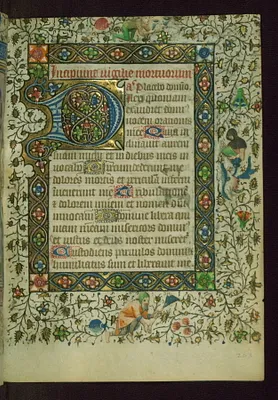 p. 43