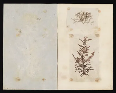 p. 17