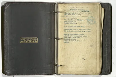 p. 3
