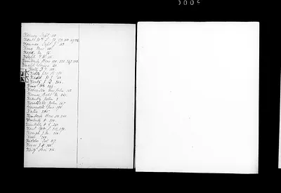 p. 31