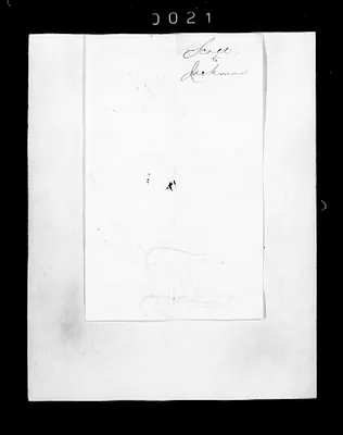 p. 33