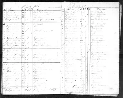 p. 31